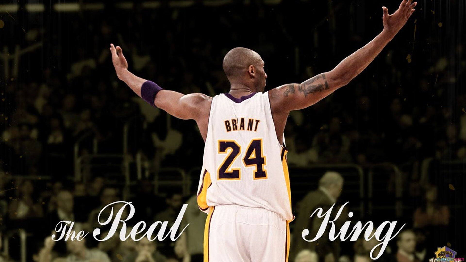 星空娱乐官方下载-UFC格斗比赛火爆举行,明星选手亮相,ufc格斗名将